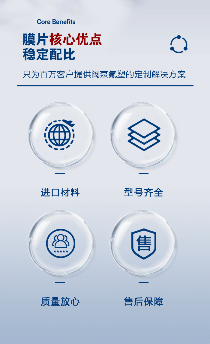 1-計(jì)量泵膜片1-產(chǎn)品詳情頁(yè)進(jìn)口米頓羅計(jì)量泵膜片配件四氟密封件-模板_02