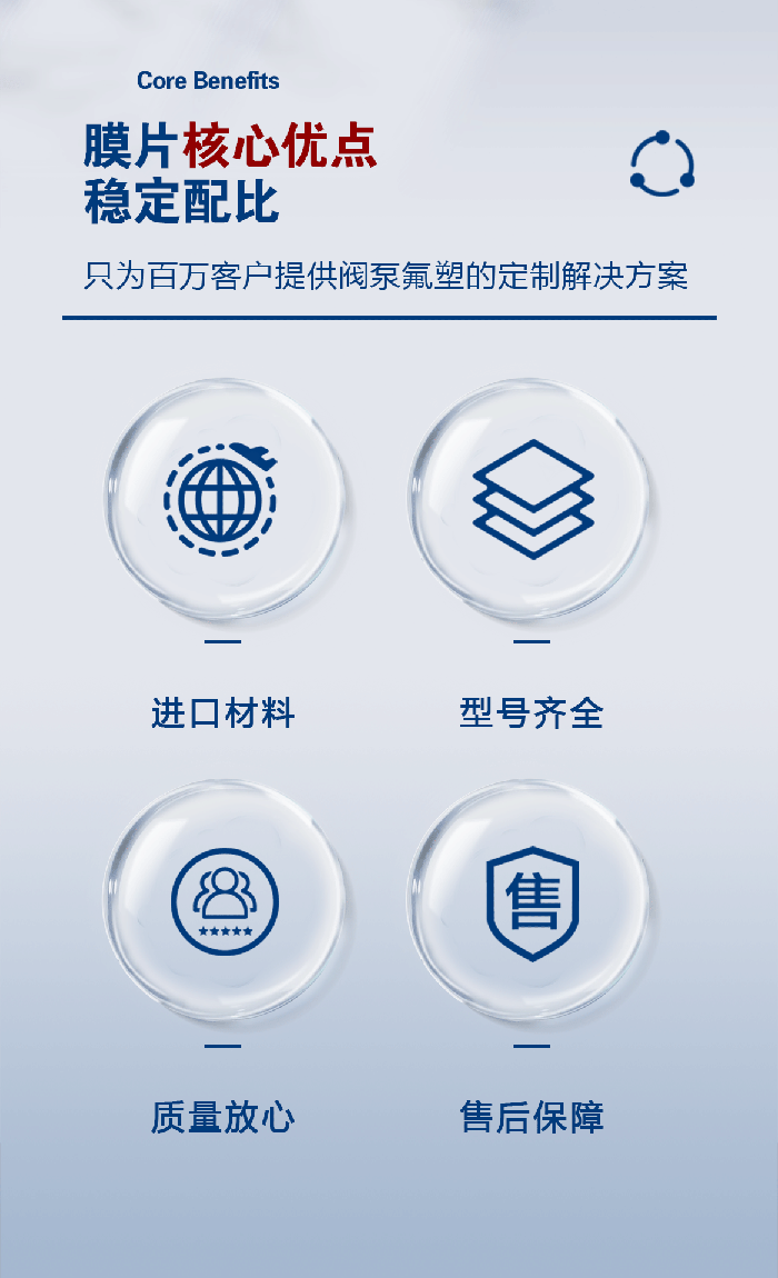 1-計(jì)量泵膜片3-產(chǎn)品詳情頁(yè)-模板_02