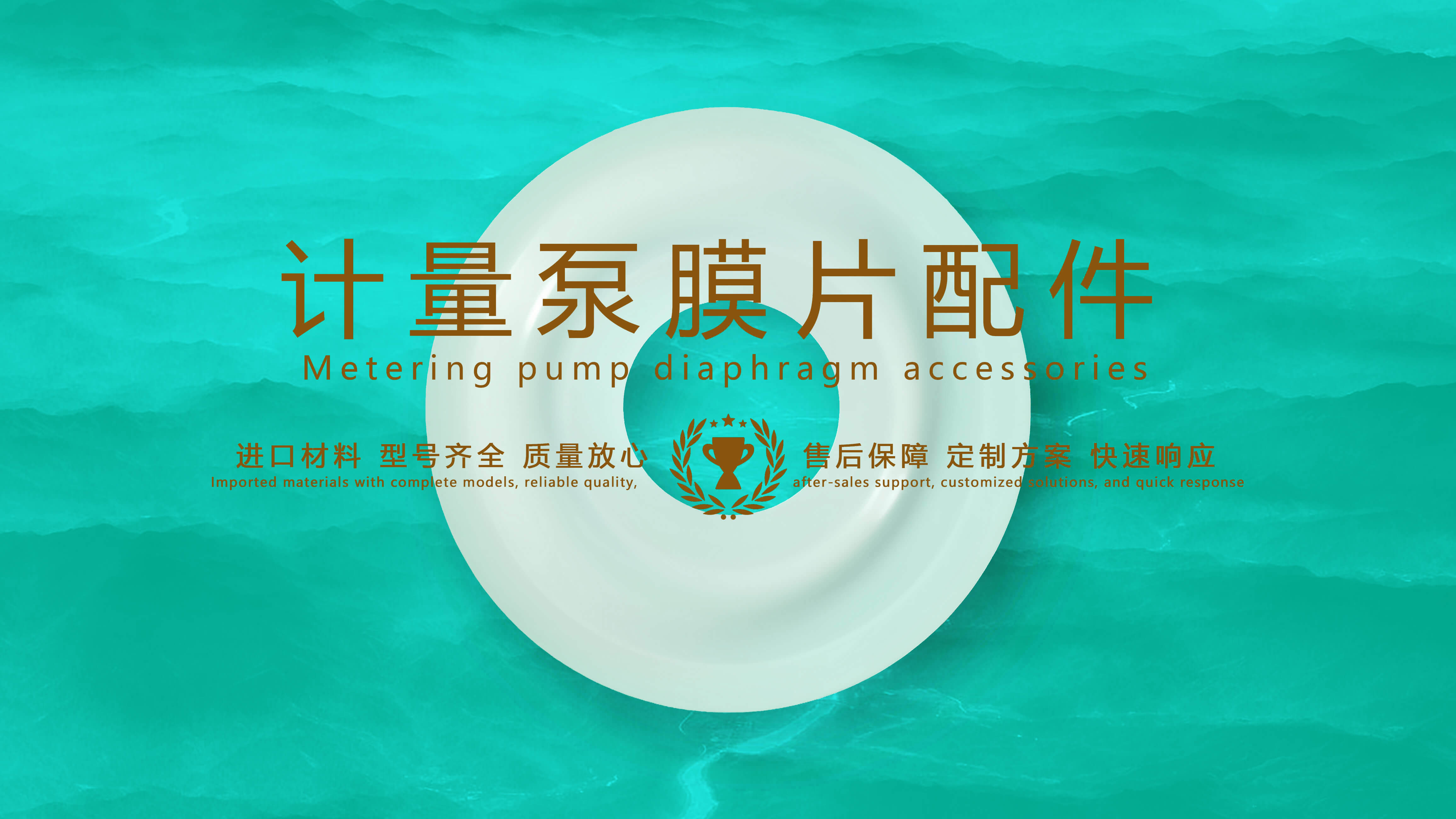 計量泵膜片配件密封件密封圈油封2 計量泵膜片配件密封件密封圈油封2