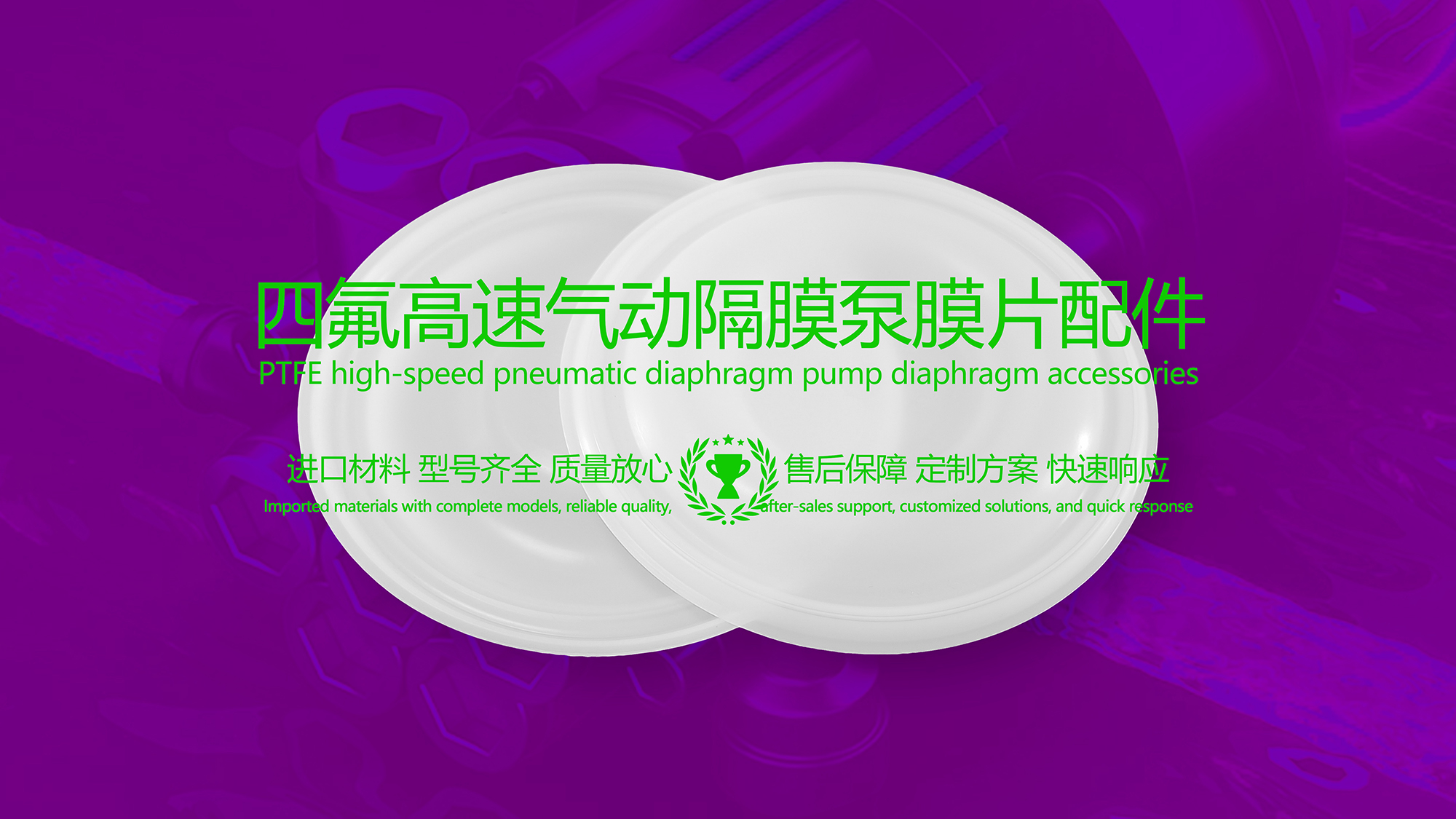 四氟高速氣動隔膜泵膜片配件密封件密封圈油封 (1) 四氟高速氣動隔膜泵膜片配件密封件密封圈油封 (1)