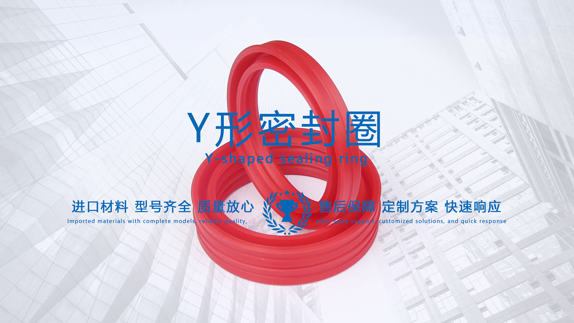 y型密封圈（又Y形密封圈，Y形圈，Y型圖或唇形密封圈，密封件油封膜片） (3)